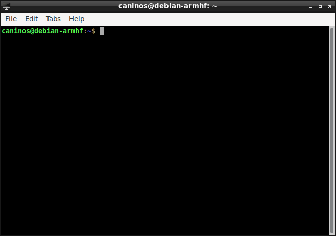 LXTerminal